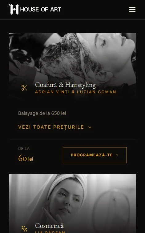 Website House of Art, versiunea mobilă