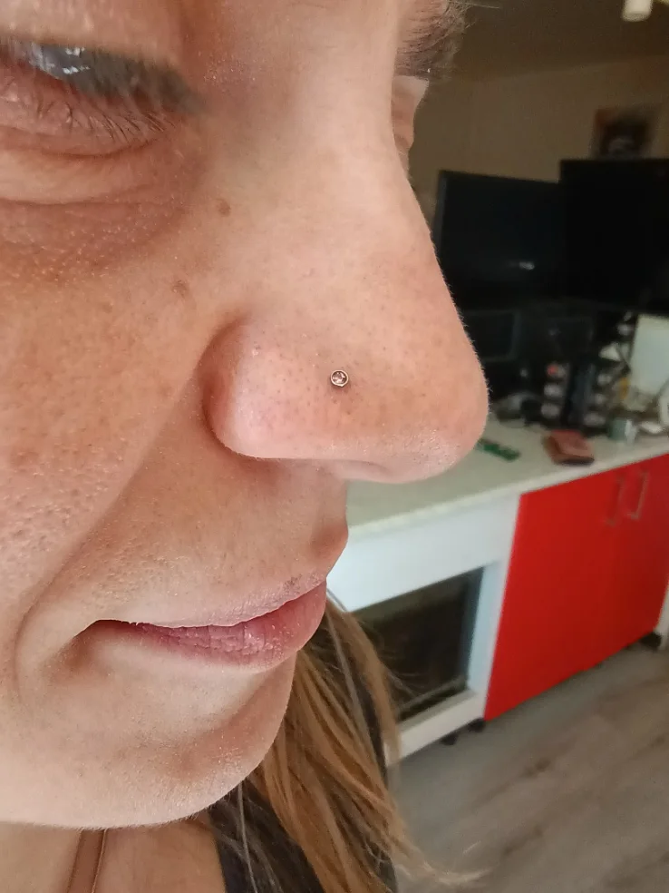 Nostril — lucrare realizată de Paul Subțirel